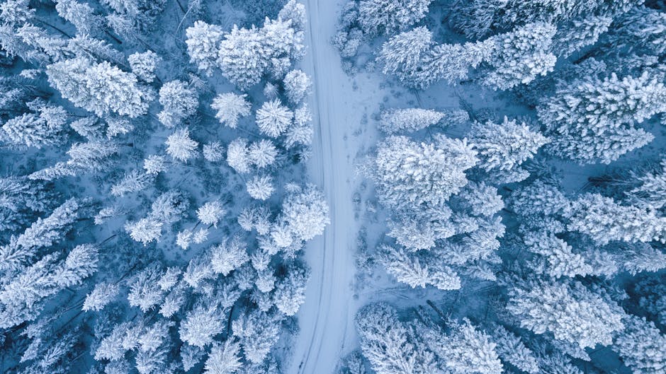 Comment bien préparer son corps pour cet hiver ? Nos CONSEILS !