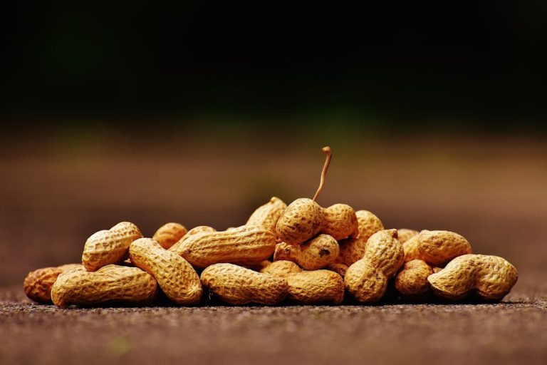 Noix de cajou et diabète : un allié savoureux pour votre glycémie